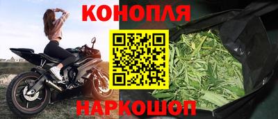 твердый Камышлов