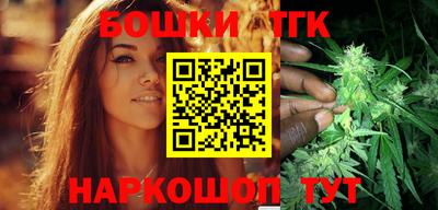 твердый Камышлов