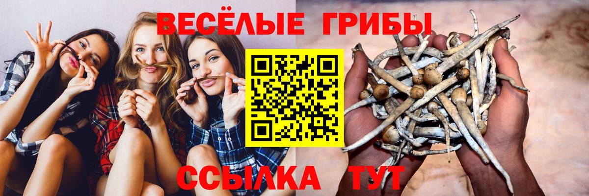 Крымск  Псилоцибиновые грибы Psilocybe  Вход с VPN  Псилоцибиновые грибы Cubensis 